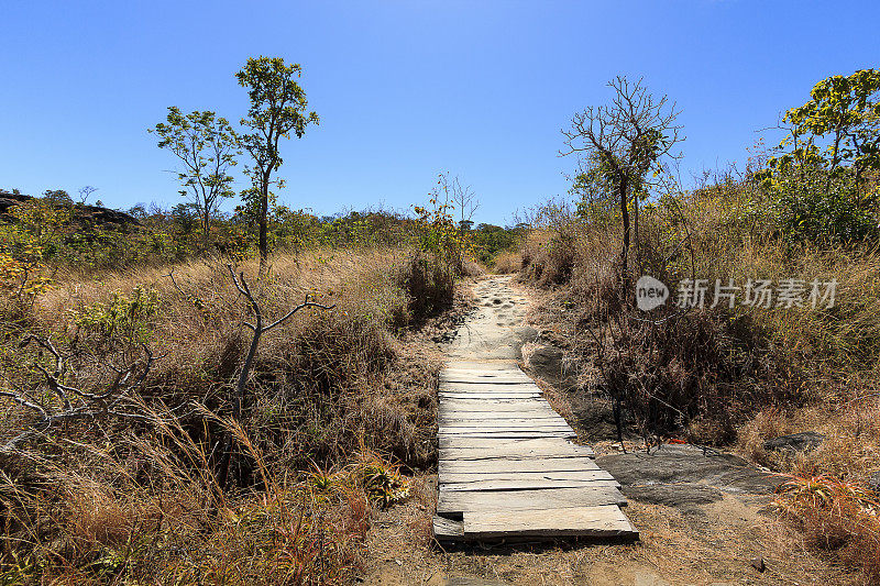 巴西戈亚斯Chapada dos Veadeiros的小木桥